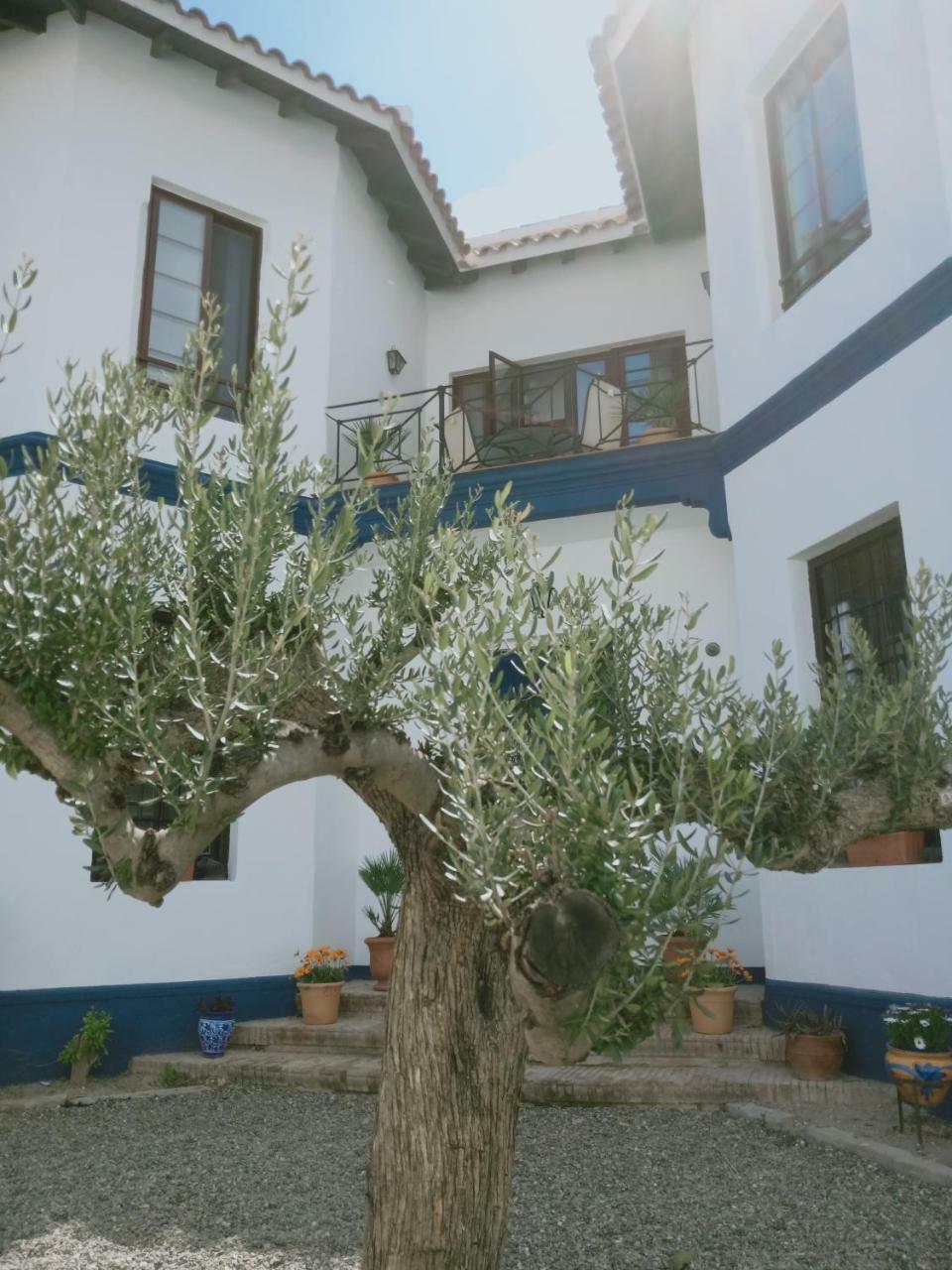 El Cielo Azul Bed and Breakfast Alora Buitenkant foto